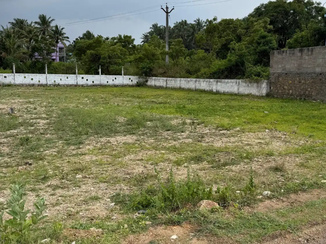Property in Mela Peruvillai view 1